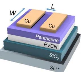 Figure  3.1  shows  the  schematic  structure  of  a  memory  in  this  study.  The  memory OFET was fabricated on a heavily doped silicon wafer (n + Si, resistivity:  1-10  Ω·cm)  coast  with  a  400-nm  thick  of  silicon  dioxide  (SiO 2 )