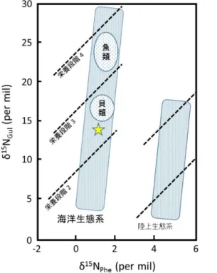 図 1. アゲマキガイのアミノ酸安定同位体 比の測定結果（黄色の ☆がその位置を示す。 図は大河内ら (2012)を一部改変して用い た。栄養段階 1-4 は順に、一次生産者（植食 者）、一次消費者、二次消費者及び三次消費 者をそれぞれ意味する。）課  題  名  ：  アミノ酸窒素安定同位体比に基づくアゲマキガイの栄養段階の推定 担当者名 有明海・八代海漁場環境研究センター  資源培養グループ  山田勝雅［目的］ かつて有明海は「宝の海」と呼ばれ、わが国でも有数の生産力に富んだ海であった。しかし 1980