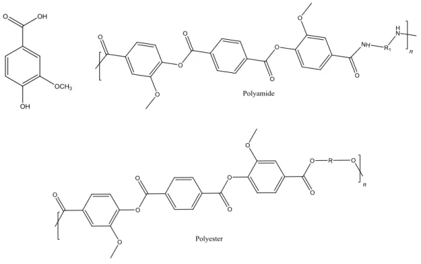 Figure 5: Chemical structure of vanillic acid, polyamide and polyester from vanillic acid