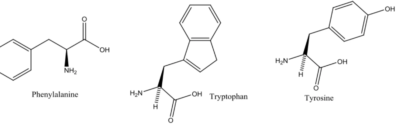Figure 7: Naturally occurring aromatic amino acids. 