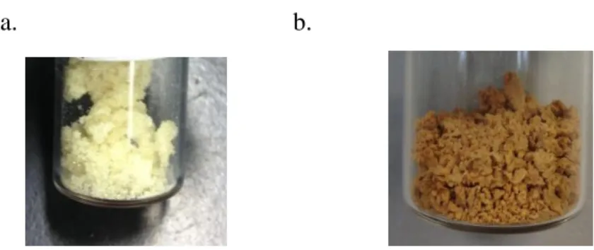 Figure 7. Physical appearance of monomer a). Me-4-APhe.2HCl and b). Me-APhe. 