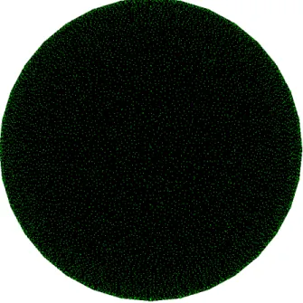 図 2.13: サンプリング結果 じ実行環境でナイーブな方法でおよそ 2 万頂点のサンプリングを行ったときには 10 分ほ どの時間がかかったのに対して，この手法では 3 分ほどで結果が得られた． サンプリング密度の操作 本来 Poisson-disk Sampling は任意の領域に対して一様なサンプリング結果を返す手法 である．しかし本研究では果実表面に生えている細毛の分布に対して利用するため必ずし も一様な分布が最適とは限らず，密度の差が生じる場合も存在する． 図 2.14: 果実の軸