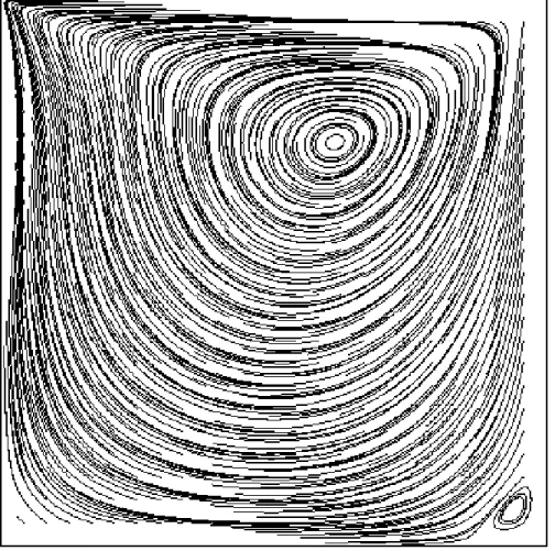 図 3.6: Streamline of cavity ﬂow