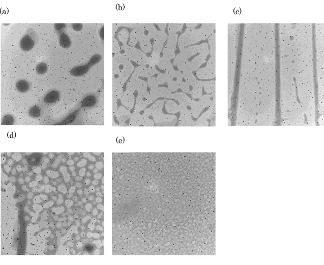 図  43. HMDS-TEM 基板上ポルフィリン 6 量体乾燥模様 
