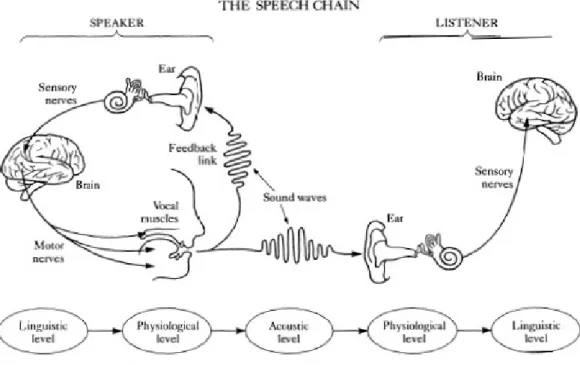 図 1.1: ことばの鎖（Speech Chain, 文献 [16] より引用）