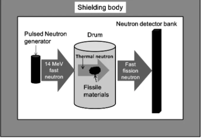 Fig. 2　 Schematic  of  the  fast  neutron  counting  time  spec- spec-trum in the method