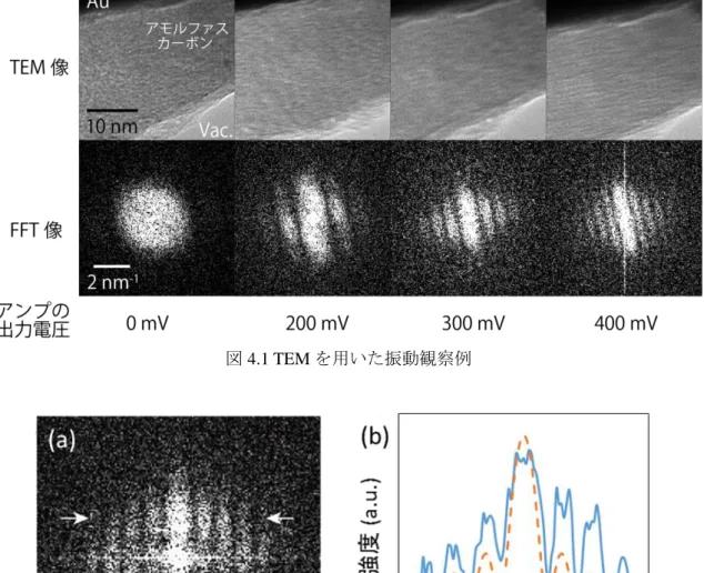図 4.1 TEM を用いた振動観察例 