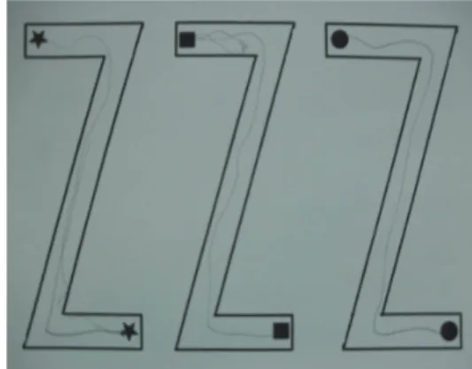 Fig. 1 “PIAF” machine  Fig. 2 Example of tactile graphics material 