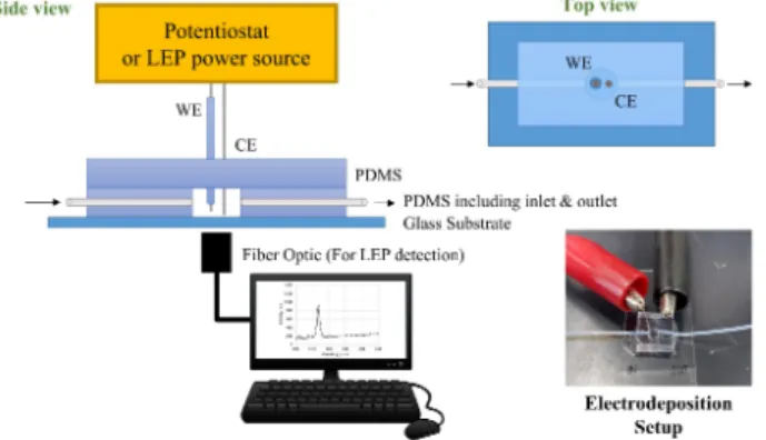 Figure 2 Reaction chamber and experimental setup for heavy metal detection by electrodeposition coupled  with LEP-OES 