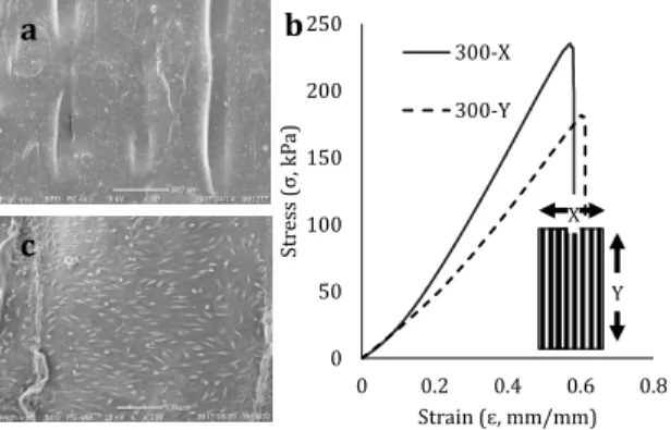 Figure  4.  Sacran  film  with  micro-patterned  on  the  top  surface  (a)  showed  anisotropic  mechanical  property (b) and one direction of fibroblast L929 cells orientation (c)