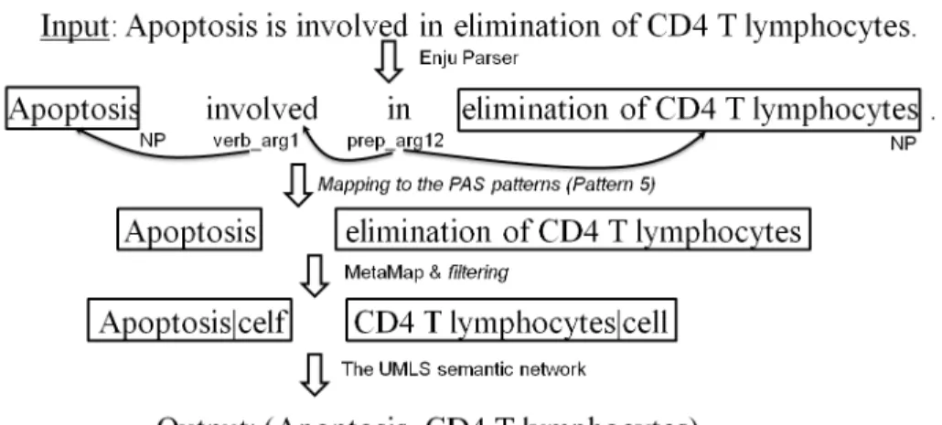 Figure 3.1: The working flow of our system.
