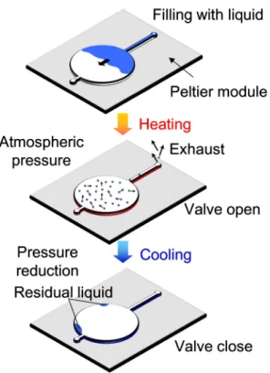 Figure 2.1    Schematic of vacuum generation with gas-liquid phase transition. 