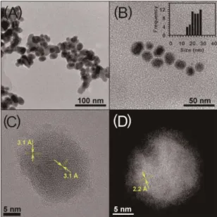 Figure 4.4. TEM images of Zn-Sb NPs (A, B) (the inset in (B) shows the size distribution of  NPs), high-resolution TEM (C) and HAADF-STEM image (D) of a single Zn-Sb NP