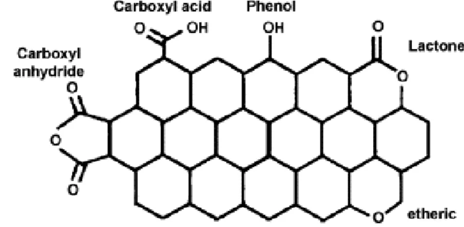 Figure 1.3 Various types of surface oxygen functional groups on  carbon (Ref.73)