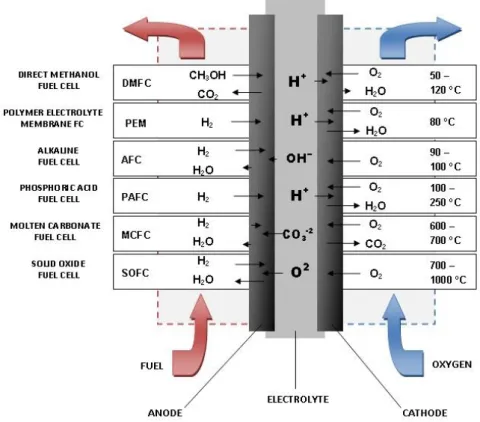 Figure 1.8 91  summarizes the six types of fuel cells and operation conditions.  
