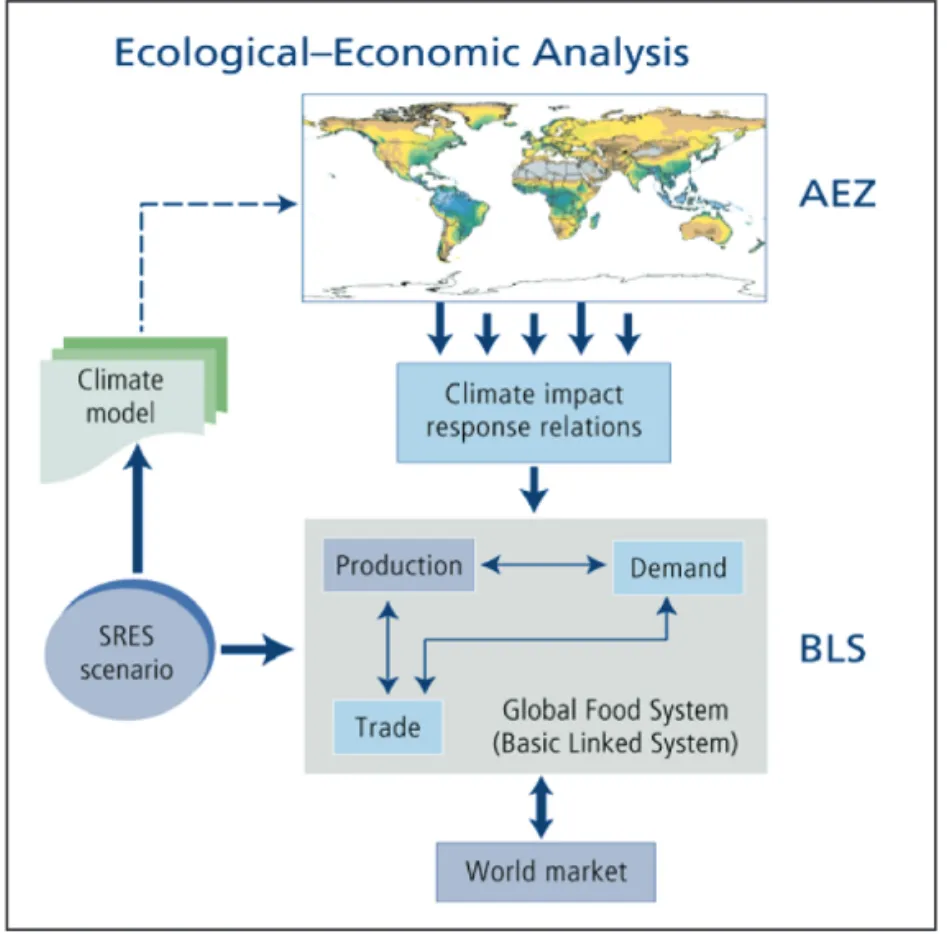 Figure 6. Set of coupled models for analyzing climate impact on agriculture