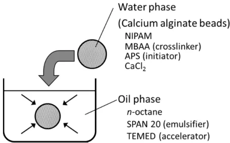 Figure 2-1 Schematic diagram for preparing the IPN beads via modified inverse  emulsion polymerization method 