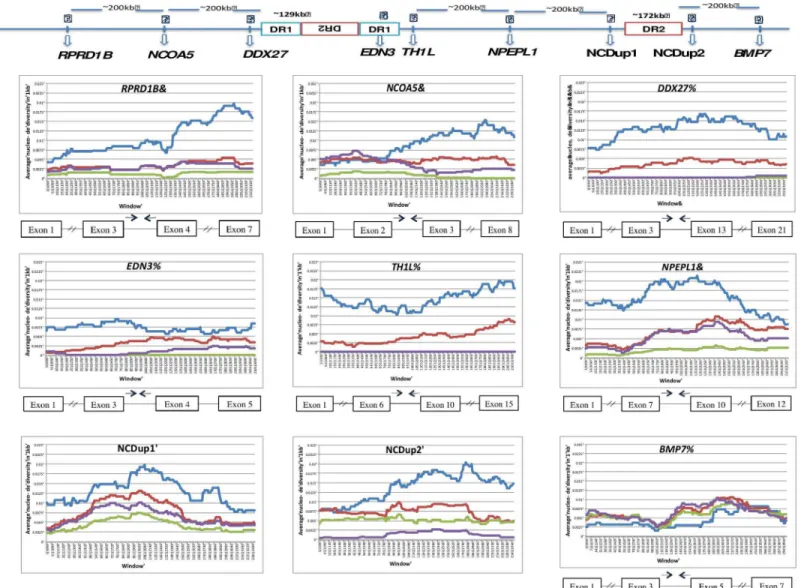 Fig 5. The nucleotide diversity ( π) in nine regions surrounding END3 in chicken breeds