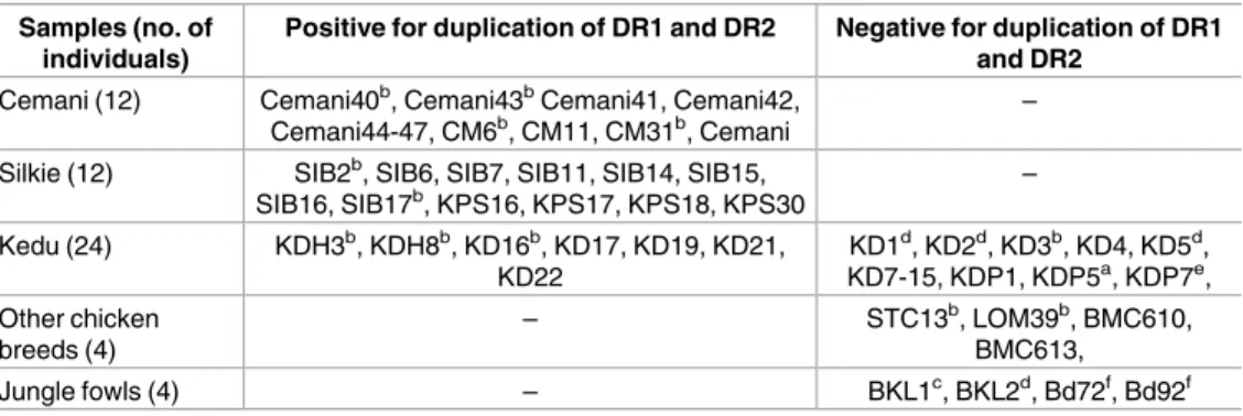 Table 3. PCR amplification of the duplication boundaries between DR1 and DR2 in the Fm region
