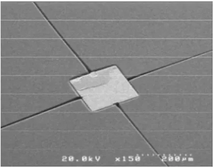 Fig. 1 MAT-FPD の概略                Fig. 2  作製された Si チップ                  Fig. 3 Si チップ埋め込み結果