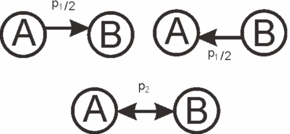 図 2.6: 興奮性ニューロンペアの結合確率 2.4 異常発火 異常発火とは，発火率などが自発発火状態と比較し大きく外れたもののことである．具 体的には自発発火の定義から外れたものを異常発火の定義としている．つまり，外部入力 を切断した状態で以下の条件を一つでも満たせば，異常発火であるといえる． • 高発火率での発火 • 周期的な発火 • 同期的に発火 異常発火が発生する原因として，本研究では，異常発火の発生する原因として，ネット ワークの結合様式を考えている．なぜなら，双方向結合しているニューロン間の E