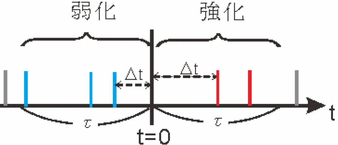 図 4.4: STDP のスパイクタイミング が長期的に弱化される長期抑制 (LTD; long-term depression) が生じる．この LTP，LTD はシナプス前後の発火時刻の差に依存して変化することが報告されている．STDP 学習の 強化・弱化は図 4.4 のようにスパイクのタイミングによって行われる．図の t = 0 の時に ニューロンが発火したとすると，発火する前に入力されたスパイク信号 (t = 0 よりも右 側) を出力したニューロンとの結合は強化される．逆に，発火した後に入力される