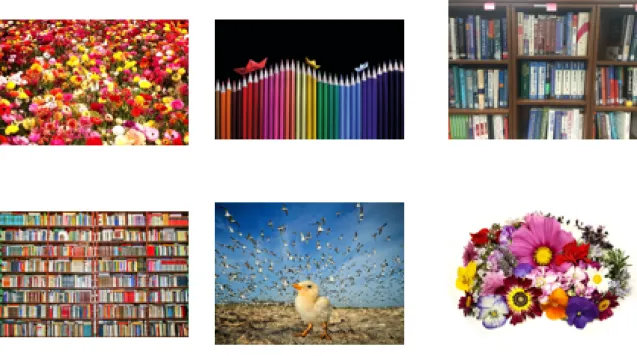 Figure 4.4: Images that are used in binocular vision framework simulation