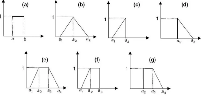 Figure 4.1: Diﬀerent fuzzy targets used in decision making problems