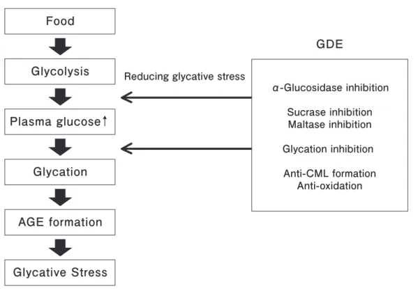 Fig. 1.  Experimental flow chart of this study.