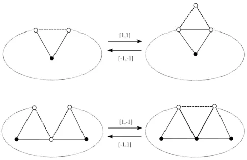 Fig. 3. 2-dimensional [∆V, ∆S]-moves. The vertices and links on the boundary S 1 are denoted as