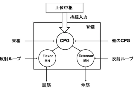 図 2.1: 運動パターン生成過程概略図