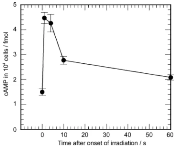 Fig. 5 Schematic representation of PAC involvement in the step-up