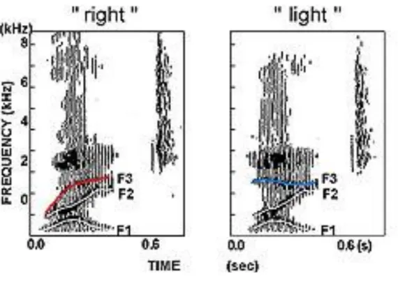 図 2.1: “right”, “light” のスペクトログラム．山田 (1997a) から引用 第一フォルマント (F1) は /r/ では /l/ より時間的にゆっくり変化するという違い があることが報告されている ( 国際電気通信基礎技術研究所 , 1994, p