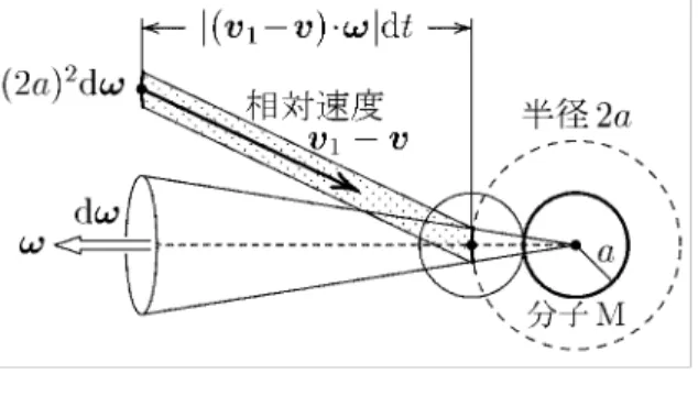 図 1.5 分子 M への衝突 S 速度 v の分子が v 1 の分子と衝突して，それぞれの速度が v  と v  1 になるとしよう。分 布の変化としては，これは速度 v の分子が消えることにより減り，代わりに v  の分子が 生じる過程と思えばよい。運動量保存則およびエネルギー保存則により，衝突の前後で v + v 1 = v  + v  1 , v 2 + v 1 2 = v  2 + v 1 2 (1.49) が成り立つが，方程式は４つしかなく，これだけでは衝突前の速度 v，v 1 が与えられても 