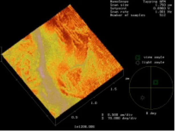 図 1: Atomic force microscopy