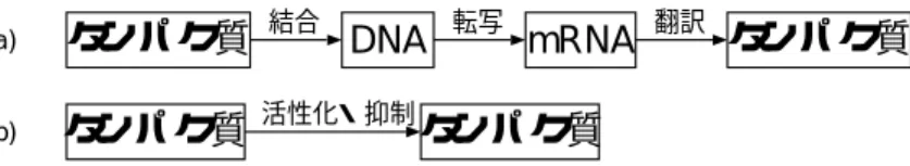 図 4.2: if-then ルールの集合の例。例えば、 1 行目は「もしタンパク質 9 の濃度が 30.611979 よ り高ければ、タンパク質 9 を１単位合成せよ」と解釈する。 4.3.2 個体の評価方法 個体の評価方法の大まかな流れは以下のようになる。 1