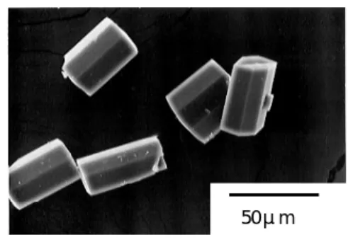 Fig. 1 SE M  im age of  M O R   crystals synthesized at 160 ℃   for 72 h using synthesis m ixture w ith 1.5 1-B uO H : 0.35 N a 2 O : 0.014 A l 2 O 3 : SiO 2 : 40 H 2 O 