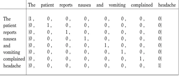 Figure 1.3: Matrix of word representation with binary weights