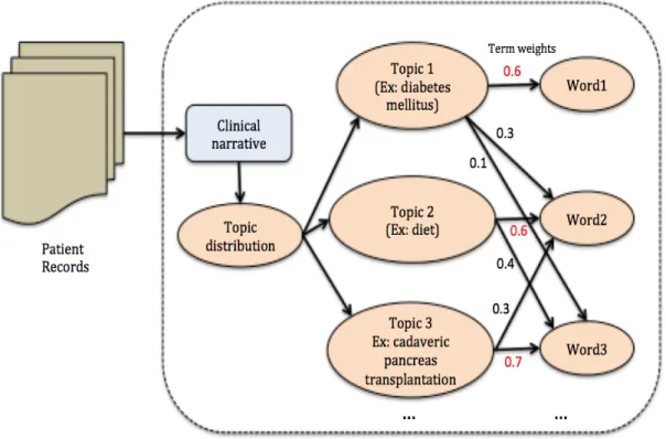 Figure 1.5: Topic model representation for a clinical narrative
