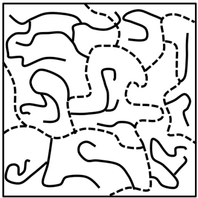 Figure 4  臨界点近傍のゲルのモデル図 25) 