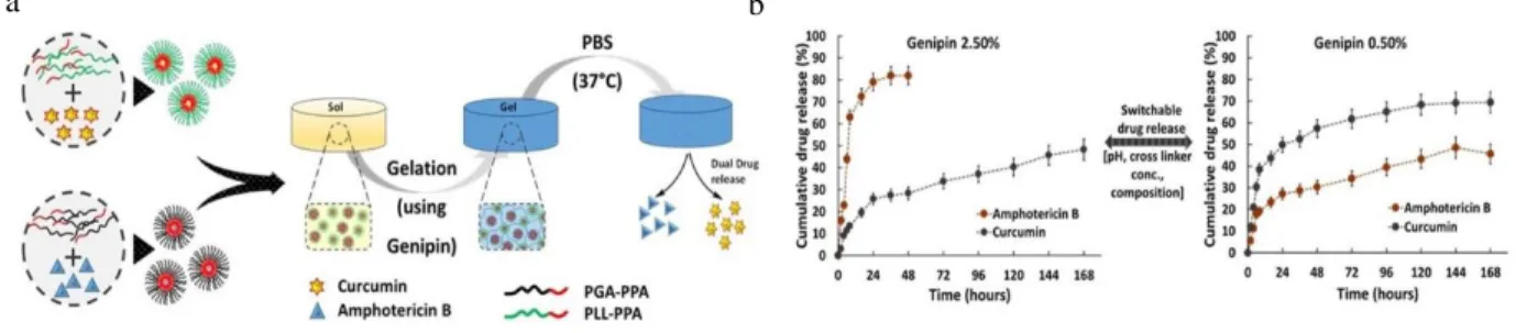 Figure 1 a) Schematic representation of formation of drug loaded micelle-hydrogel composites, b) profile switching of the composites at  different cross linker concentration