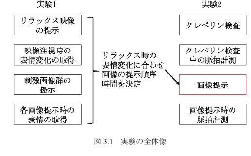 図 3.1  実験の全体像 