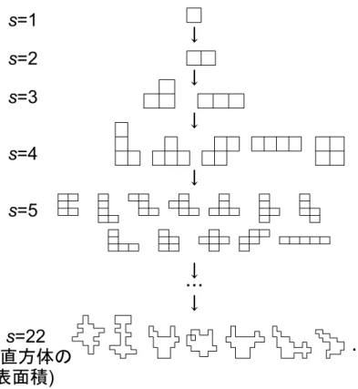 図 3.1: 面積の増加と部分展開図数の変化 3.2 展開図と直方体のデータ構造 本研究では，展開図はプログラム上で 0 と 1 の二次元配列によって表現する (図 3.2)． 直方体は，全ての単位正方形に番号付けをしておき，それぞれの単位正方形で連結して いる単位正方形同士を互いにつなぎ合わせたリスト構造とする (図 3.3)． 図 3.2: 二次元配列で表した展開図