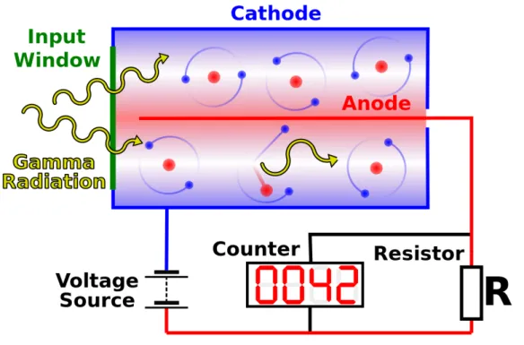 Figure 2.2: The operation inside a Geiger counter [2].