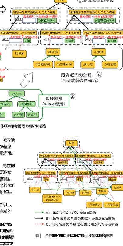 図 4 人体の p-is-a 階層を用いた場合 （ B ）転写階層を生成する際に引かれる is-a 関係 転写階 層上の概念間に引かれる is-a 関係．着目要素を基底 階層に沿って特殊化することによって，対象概念を 特殊化する際に引かれる． （ C ） is-a 階層の再構成の際に引かれる is-a 関係 元のオ ントロジーにおいて定義されていた対象概念の下位 概念と，転写階層上の概念の間に引かれる is-a 関係． 着目要素の上位下位関係を基底階層を用いて比較す ることによって，転写階層上の概念の下位概