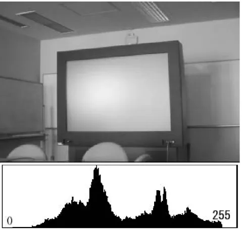 図 3.2: 撮影画像及びヒストグラム スクリーンの一部を照射する手法 スクリーン全体を赤外線で照射し，それを取得する手法は赤外領域の輝度の面で問題が あった．そこで，全体を照らさず，スクリーンの直近から一部のみを照らすことを試した