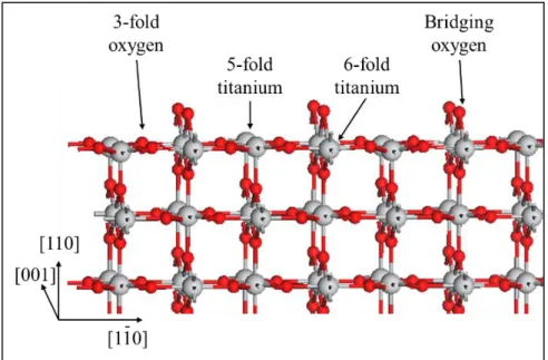 Figure 2.3. Ball and stick model of rutile TiO 2 (110)-(1×1) surface. Grey and red spheres  are titanium and oxygen atoms, respectively