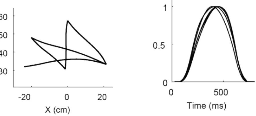 図 12: 最小分散モデルによる軌道 ( 左 ) と速度形状 ( 右 ) 。 Harris and Wolpert (1998) より許可を得て 転載。 最小分散モデルは、系が線形微分方程式で記述できる際には、解析的に解くことができる (Tanaka et al., 2004) 。このように線形に単純化された場合には、トルク変化最小モデルと最小分散モデルの 解析解を得ることができ、どのような条件下でこれら二つのモデルが異なる予言を導くかを議論する ことができる。粘性や弾性といった外力を課した場合、最小分散モ