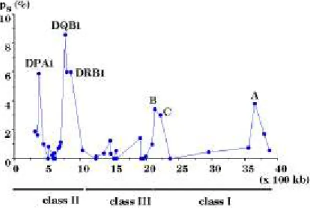 Figure 1 .  The silent nucleotide differences (ps) and chromosomal locations of 39 loci in the HLA region of 4 Mb (41 - 43).