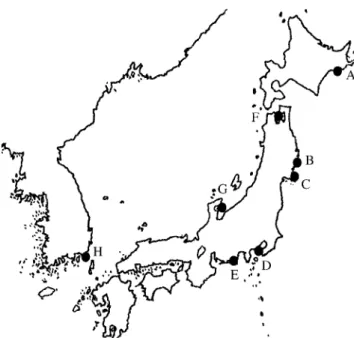 Fig. 1. Collection  sites  in  Japan  and  Korea  coasts. Akkeshi- Akkeshi-bay  (A),  Otsuchi  and  Yamada-Akkeshi-bay  (B),  Shizugawa-Akkeshi-bay  (C),   Sag-ami-bay  (D),  Hamanako-lake  (E),  Mutsu-bay  (F),  Tukumo-bay (G), Gabae (H)